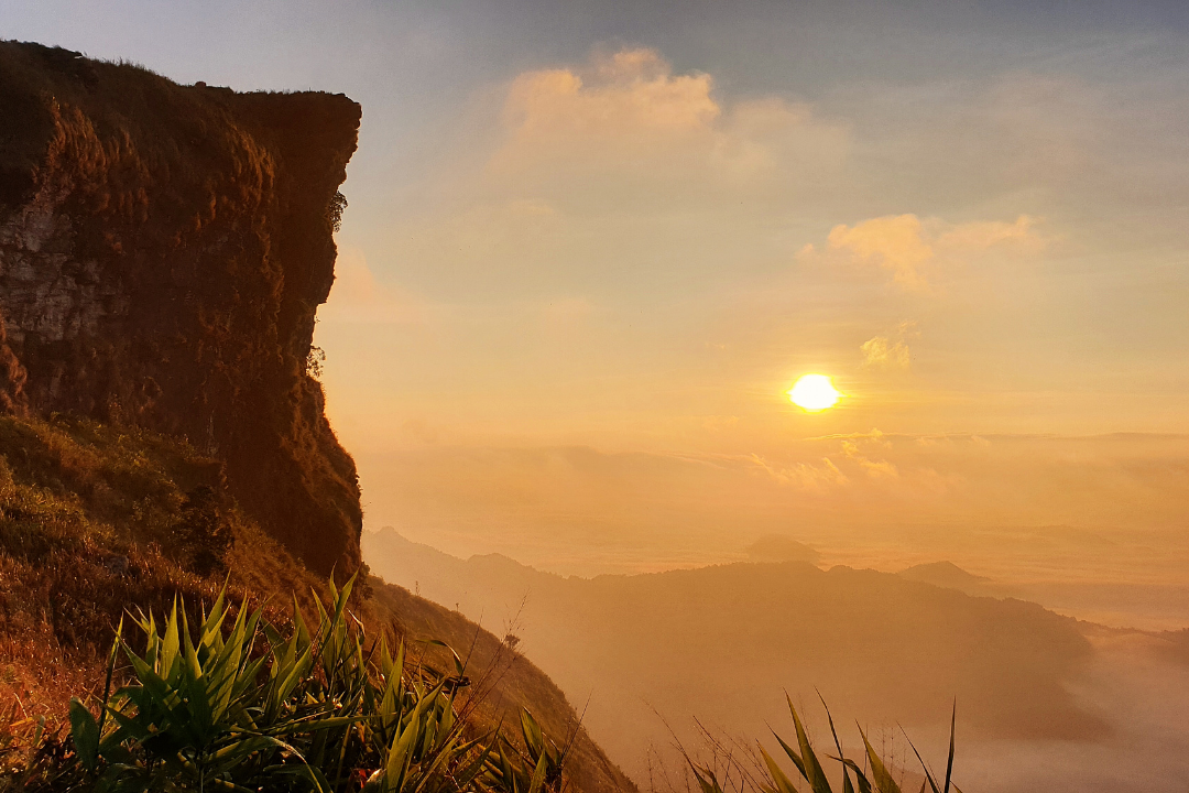 Phu Chi Fa Forest Park