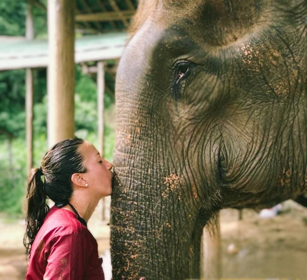 photo 2025 07 22 08 44 46