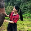 Elephant Sanctuary | Phuket 9 Lee