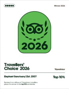 Elephant Sanctuary EST 2007 won TripAdvisor's Traveler's Choice 2026 award.